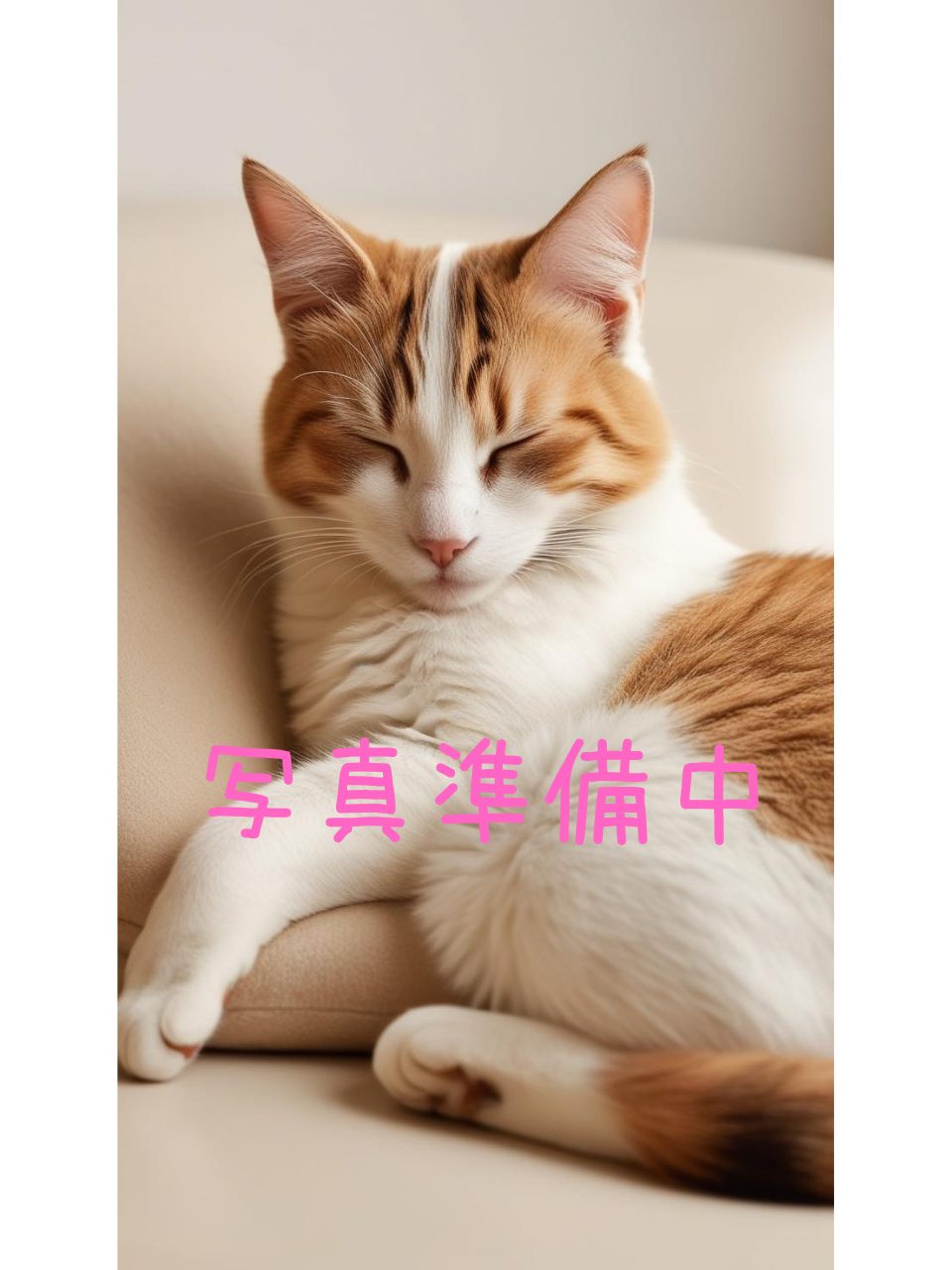 美波あお