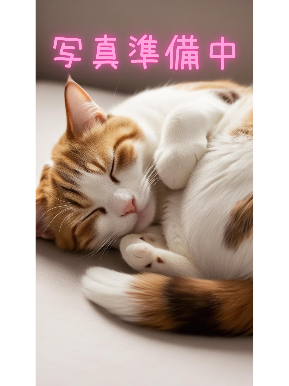 白川 ひな